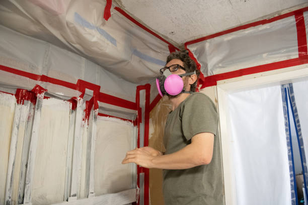 Trusted Safford, AZ Mold Removal Experts