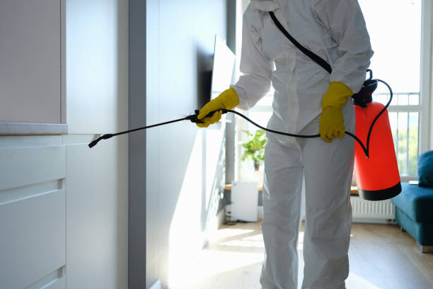 Best Commercial Mold Inspection  in Safford, AZ
