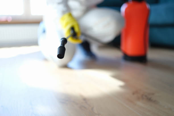 Best Real Estate Mold Inspection  in Safford, AZ